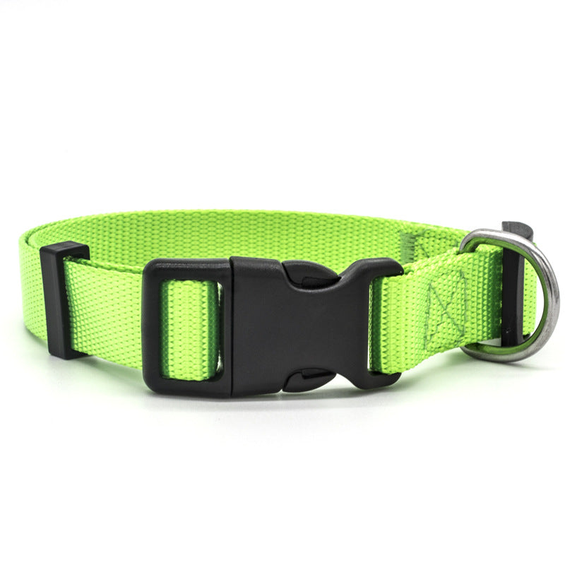 Dog Collar (Various size and Colour)