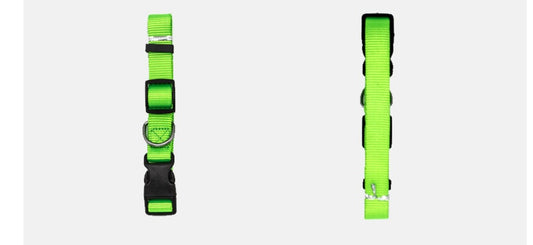 Dog Collar (Various size and Colour)