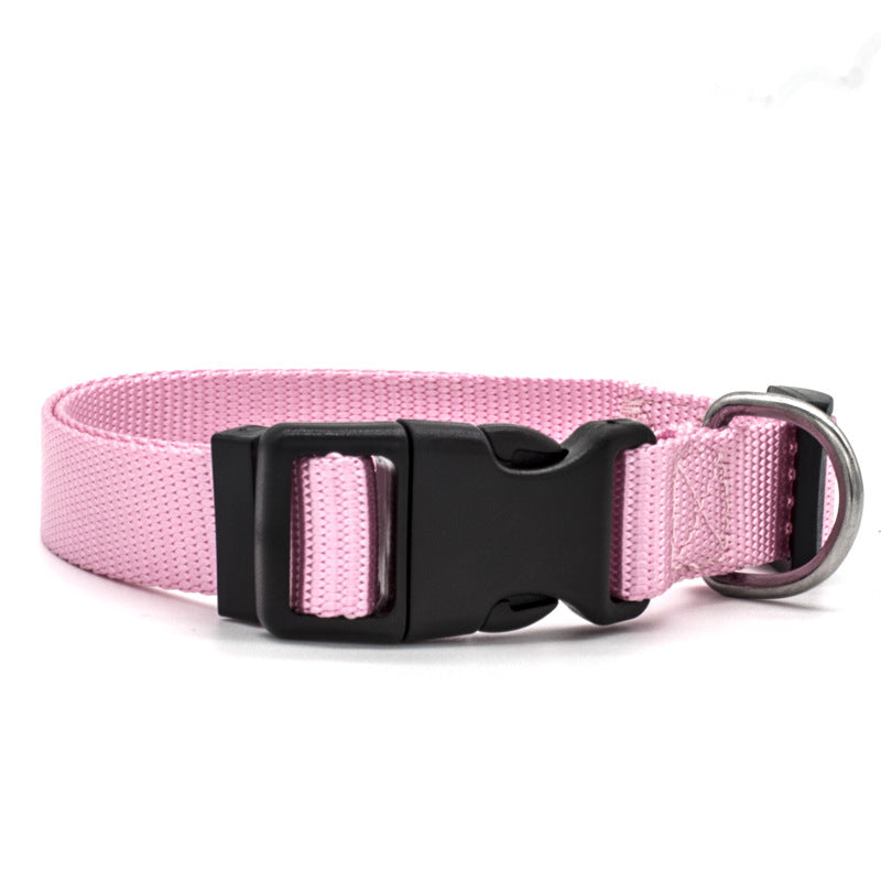 Dog Collar (Various size and Colour)