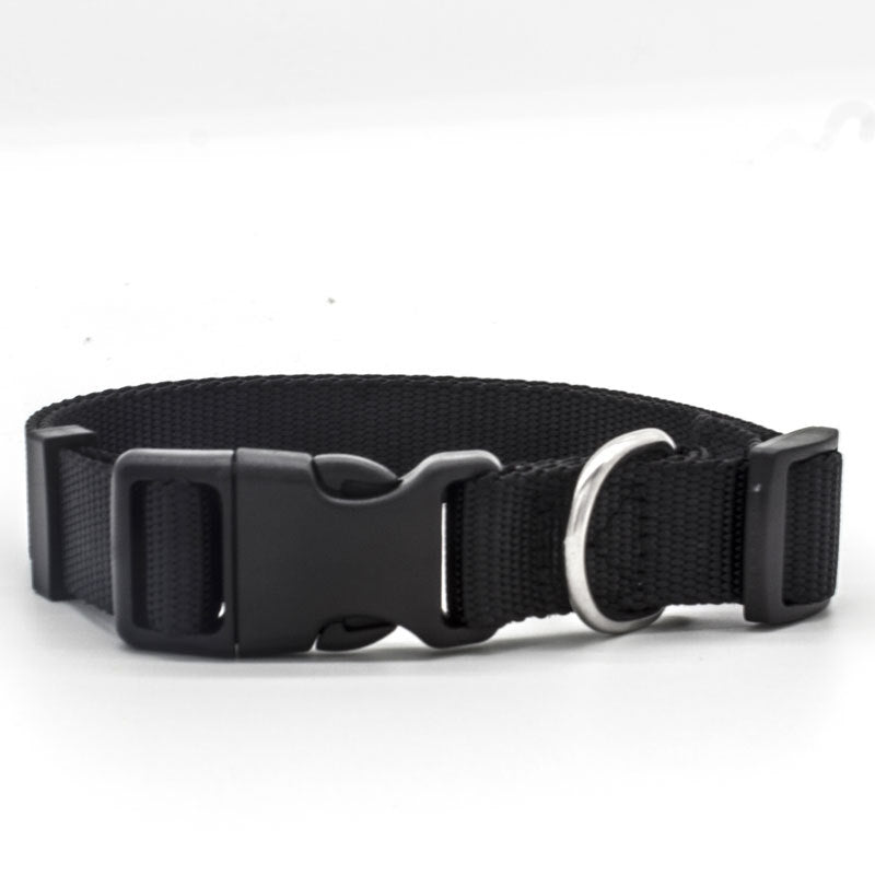 Dog Collar (Various size and Colour)