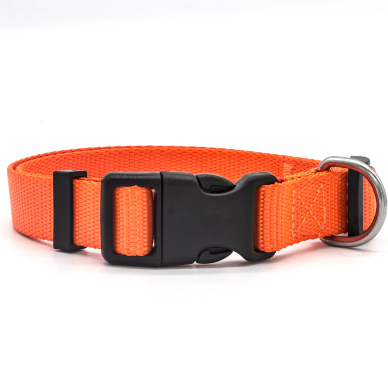 Dog Collar (Various size and Colour)