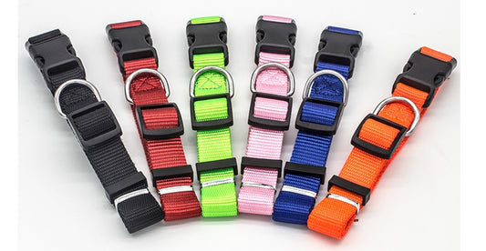 Dog Collar (Various size and Colour)
