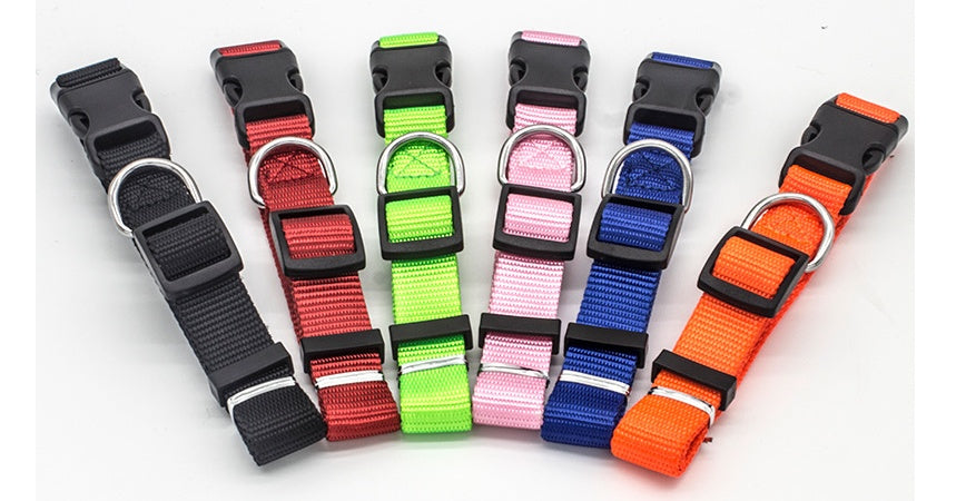 Dog Collar (Various size and Colour)
