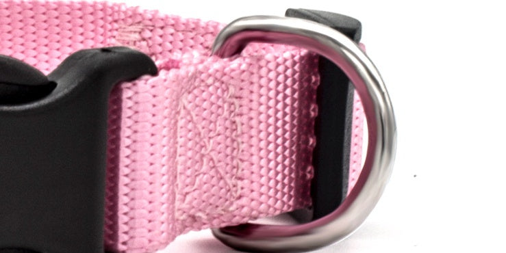 Dog Collar (Various size and Colour)