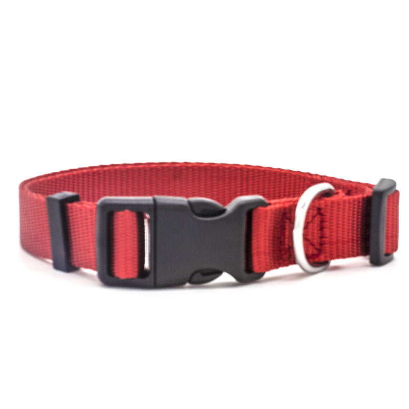 Dog Collar (Various size and Colour)