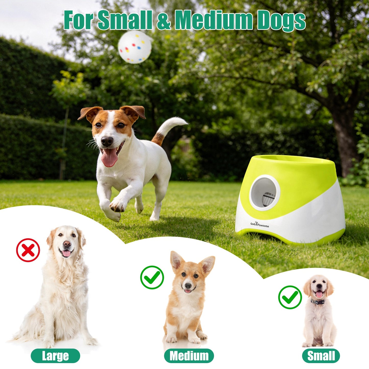 Automatic Dog Ball Launcher